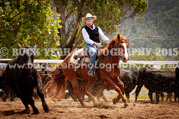 Vacy Rnd 1 Herd 2-154