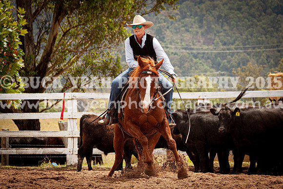 Vacy Rnd 1 Herd 2-156