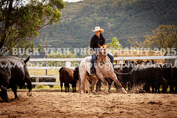 Vacy Rnd 1 Herd 2-139