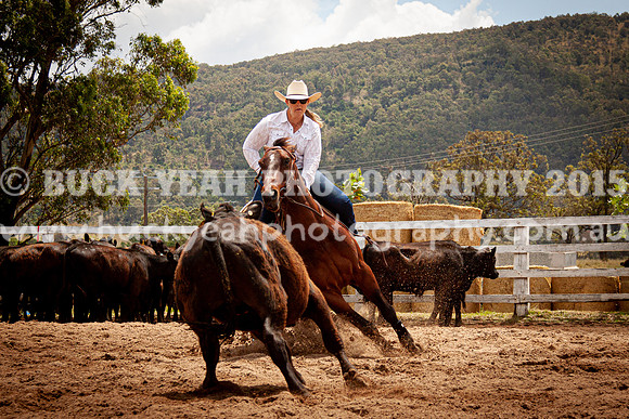 Vacy Rnd 1 Herd 2-135