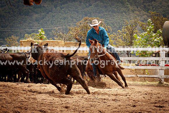 Vacy Rnd 1 Herd 2-113