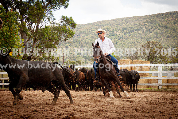 Vacy Rnd 1 Herd 2-102