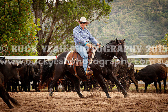 Vacy Rnd 1 Herd 2-103