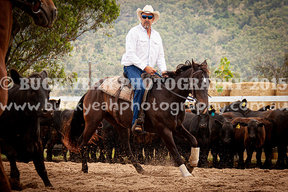 Vacy Rnd 1 Herd 2-95