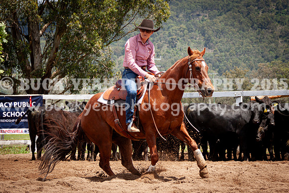 Vacy 24-424