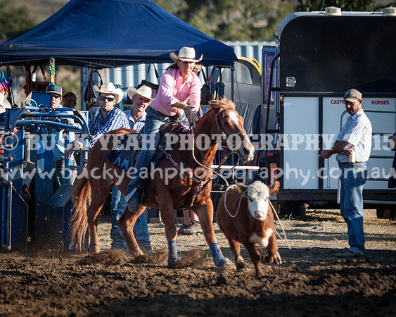 Top Gun Sat -1081