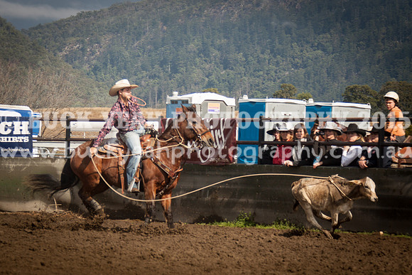 Top Gun Sun -464