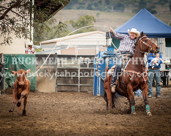 Top Gun Sun -714