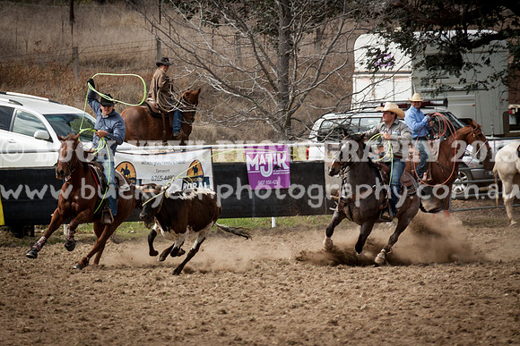 Saturday Cowboys -1