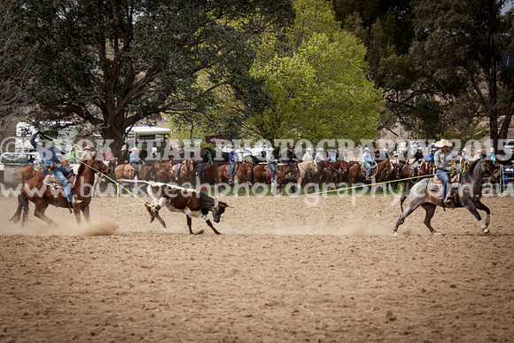 Saturday Cowboys -4