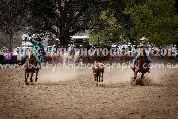 Saturday Cowboys -6