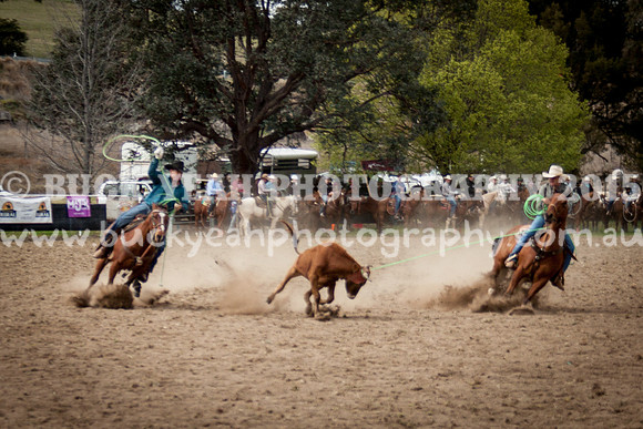 Saturday Cowboys -7