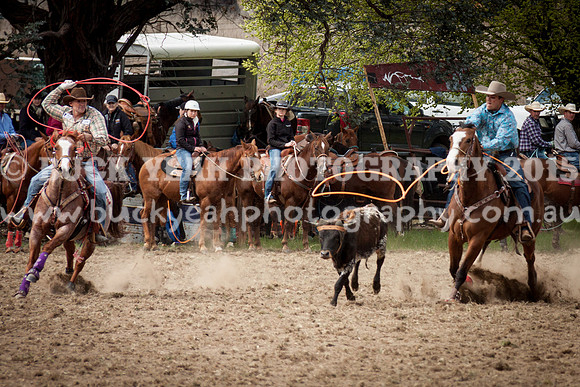 Saturday Cowboys -14