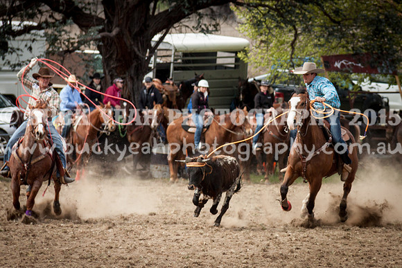 Saturday Cowboys -15