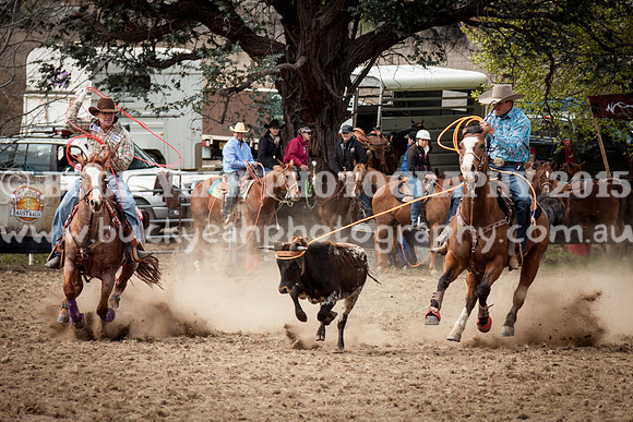 Saturday Cowboys -17
