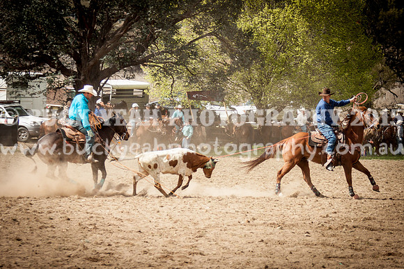 Saturday Cowboys -76