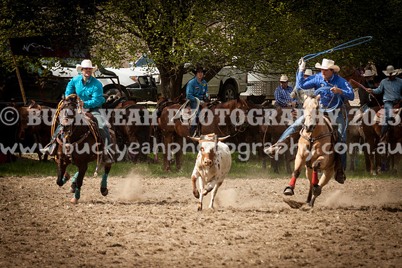 Saturday Cowboys -100