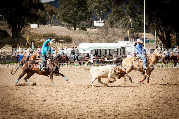 Saturday Cowboys -108