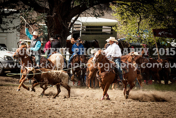 Saturday Cowboys -110