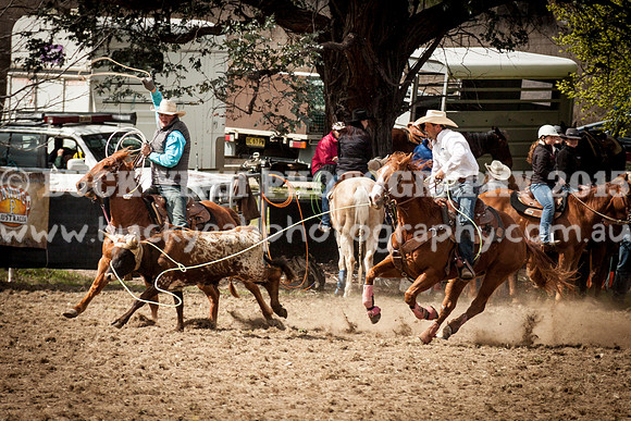 Saturday Cowboys -111