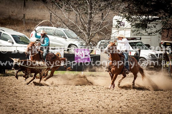 Saturday Cowboys -114
