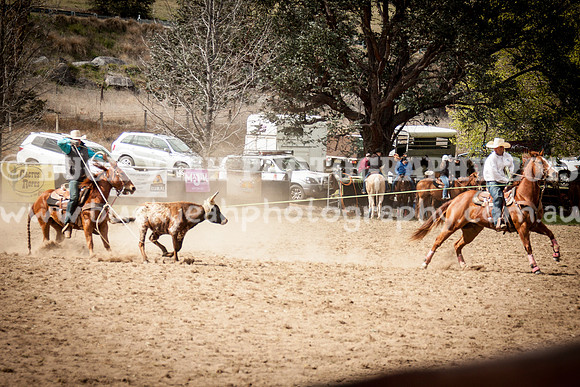Saturday Cowboys -115
