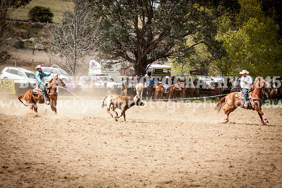 Saturday Cowboys -116