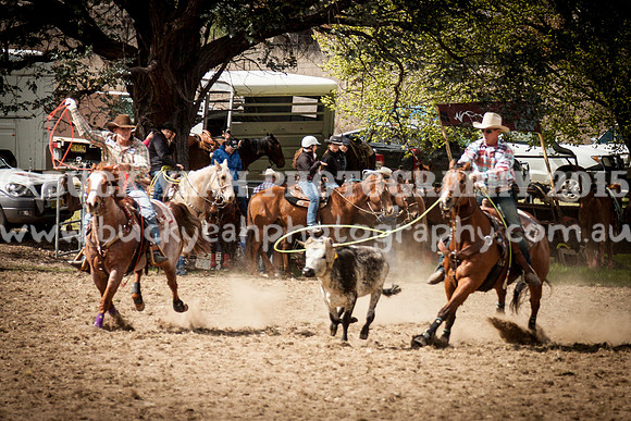 Saturday Cowboys -118
