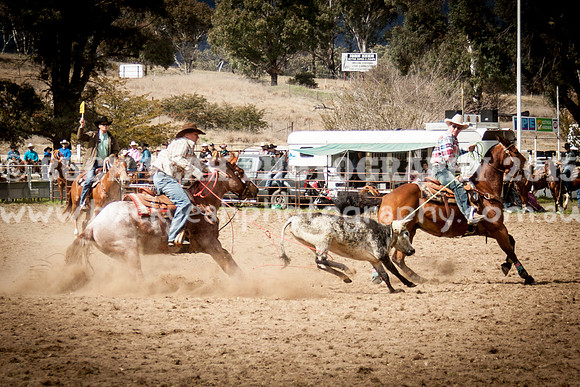 Saturday Cowboys -125