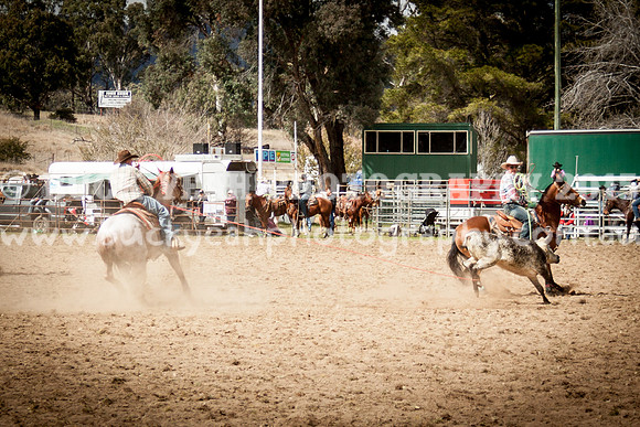 Saturday Cowboys -126