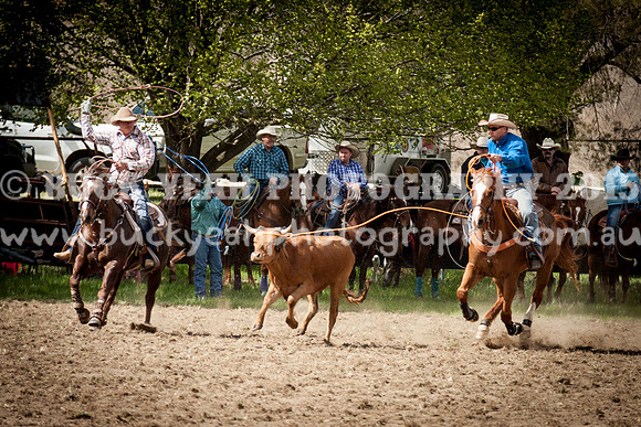 Saturday Cowboys -128