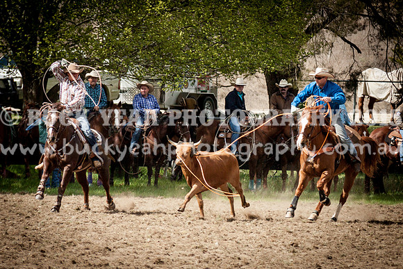 Saturday Cowboys -127