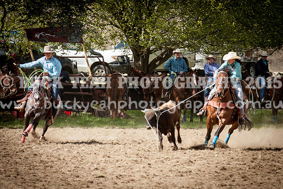 Saturday Cowboys -132