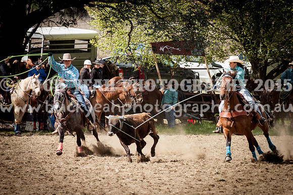 Saturday Cowboys -134