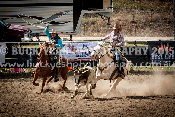 Saturday Cowboys -137