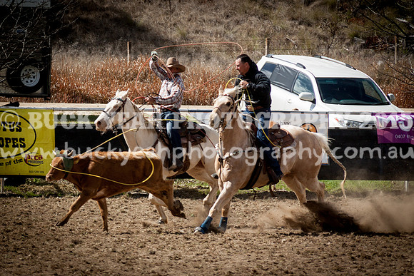 Saturday Cowboys -147
