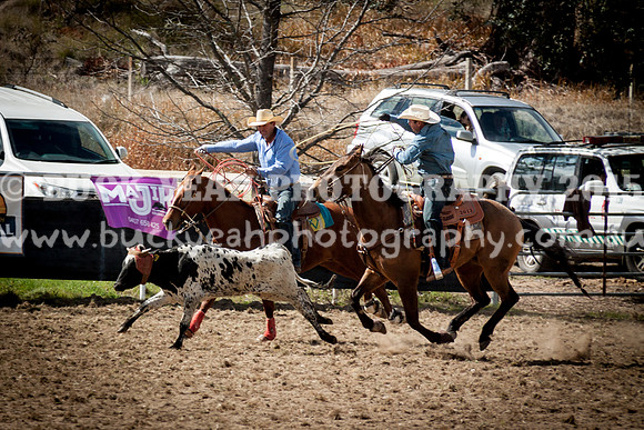 Saturday Cowboys -148
