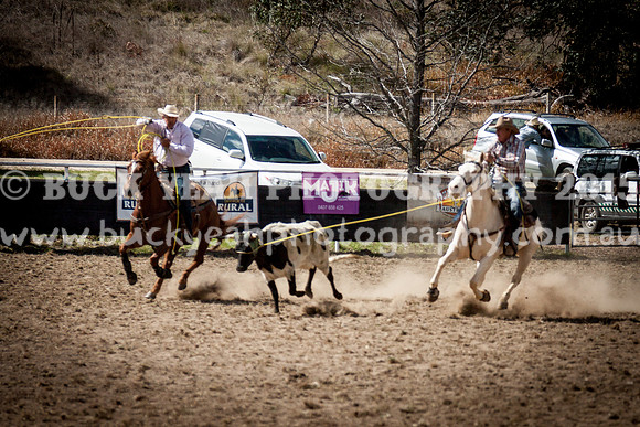 Saturday Cowboys -160