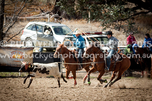 Saturday Cowboys -169
