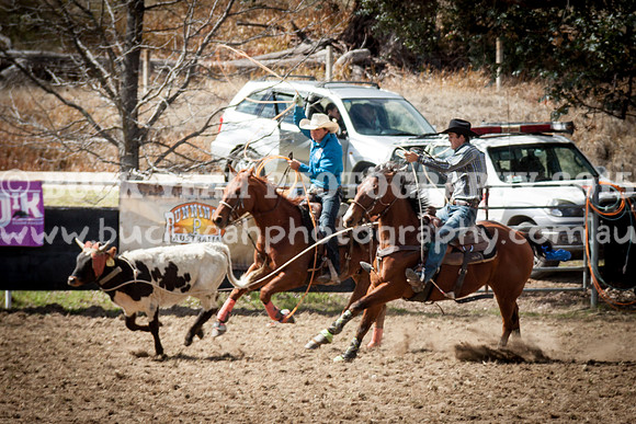 Saturday Cowboys -170