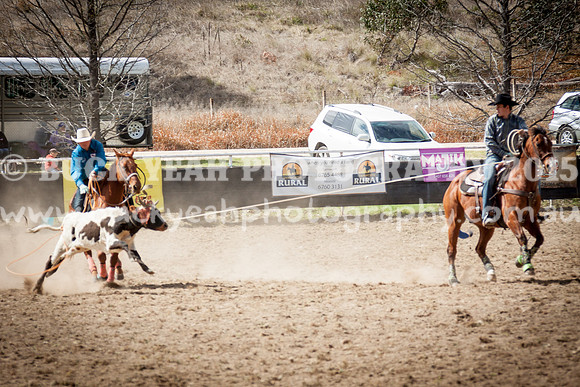 Saturday Cowboys -174