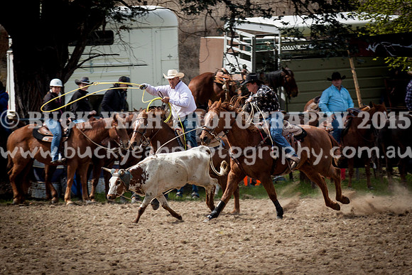Saturday Cowboys -175