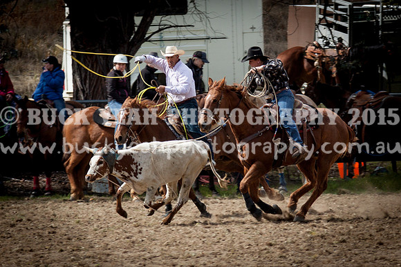 Saturday Cowboys -176