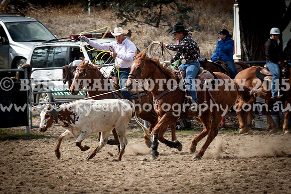 Saturday Cowboys -177