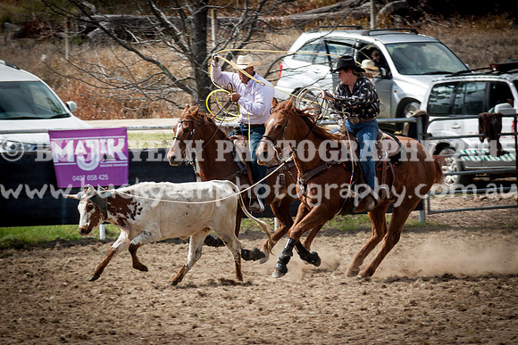 Saturday Cowboys -178