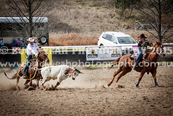 Saturday Cowboys -180
