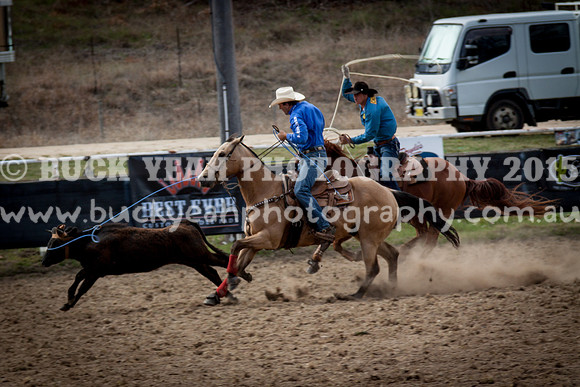 Saturday Cowboys -190