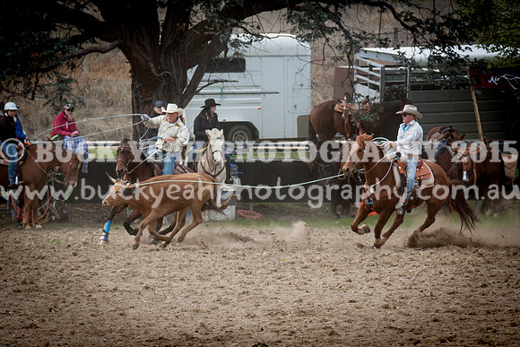 Saturday Cowboys -208