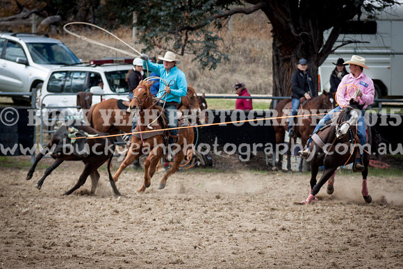 Saturday Cowboys -215