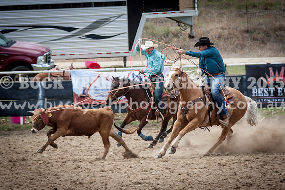 Saturday Cowboys -221